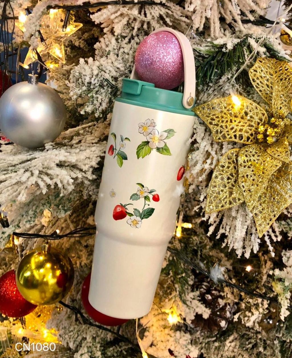 IMG_9313-1737039071162