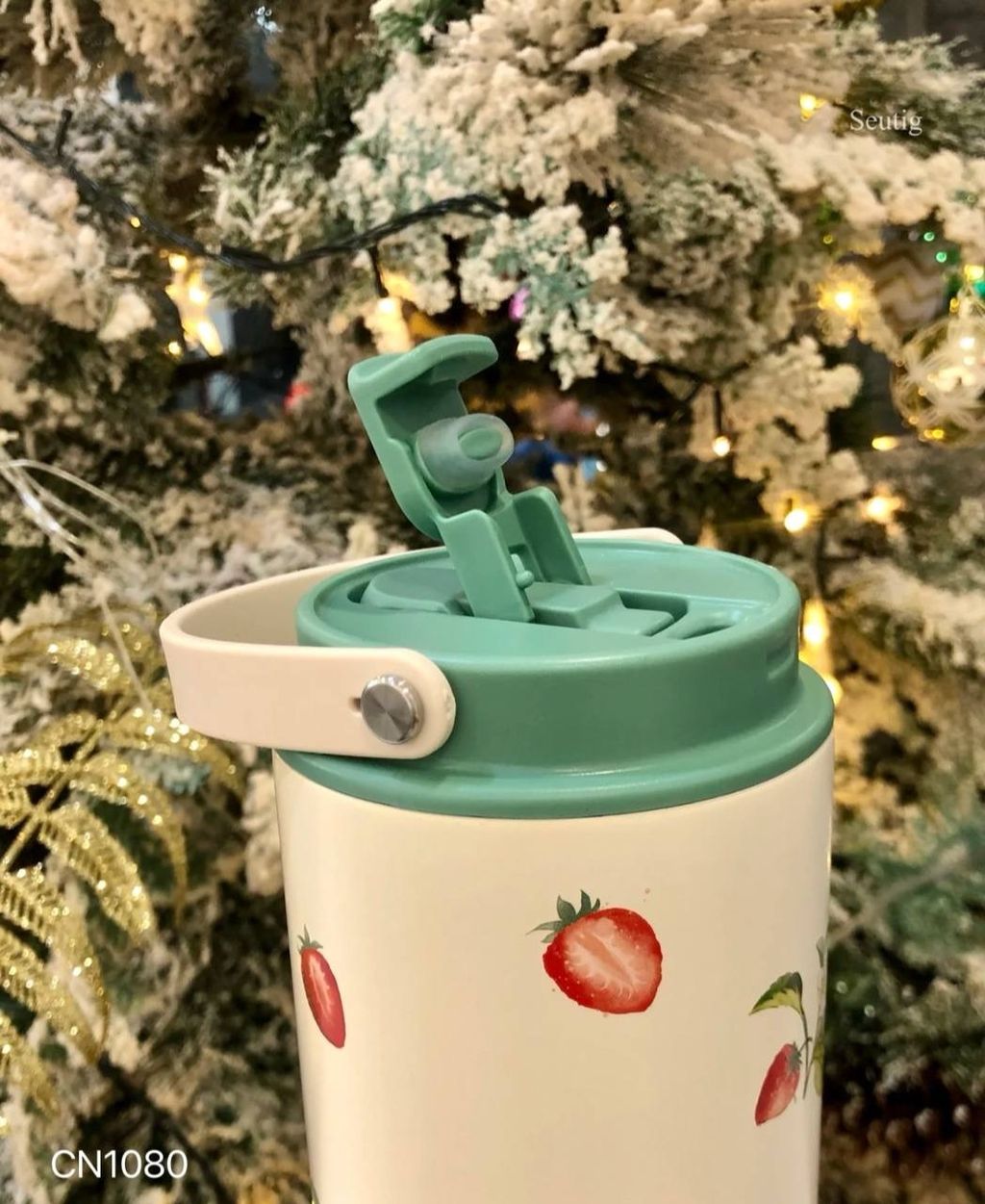 IMG_9311-1737039071157