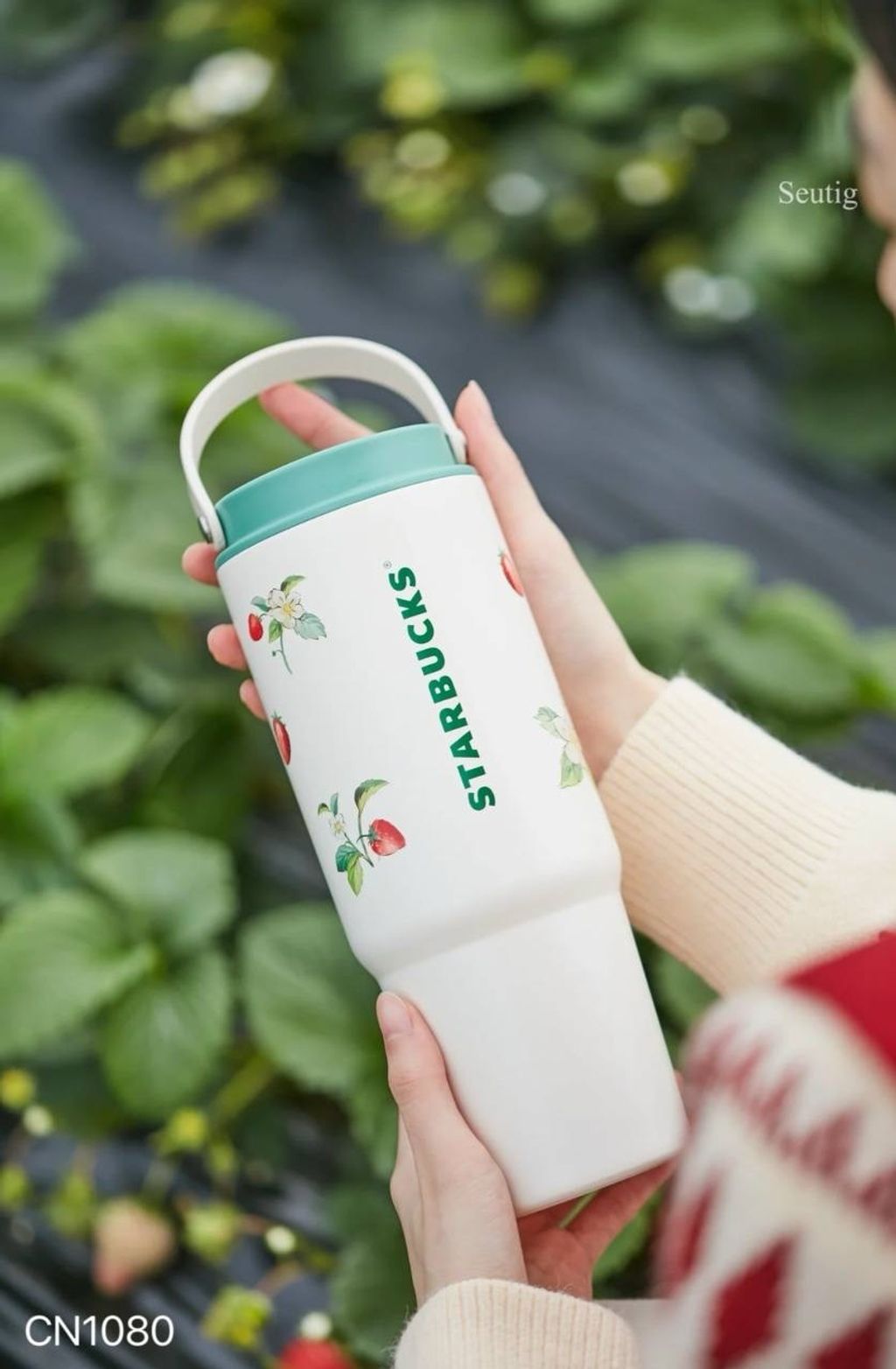 IMG_9314-1737039071152