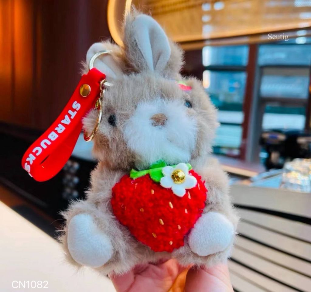 IMG_9323-1737039175399