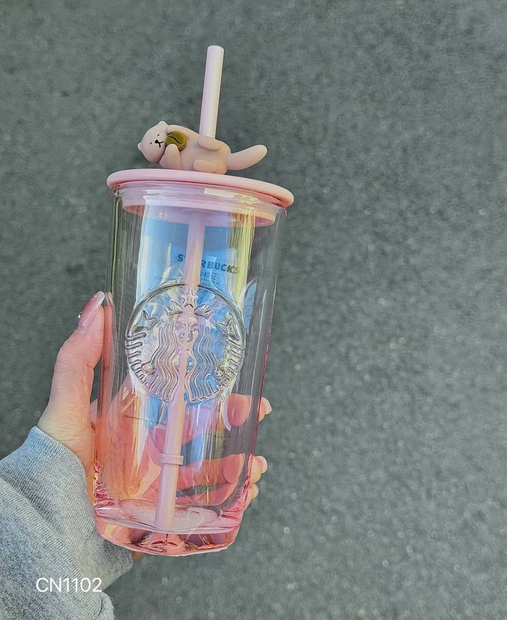 IMG_9466-1739532111021