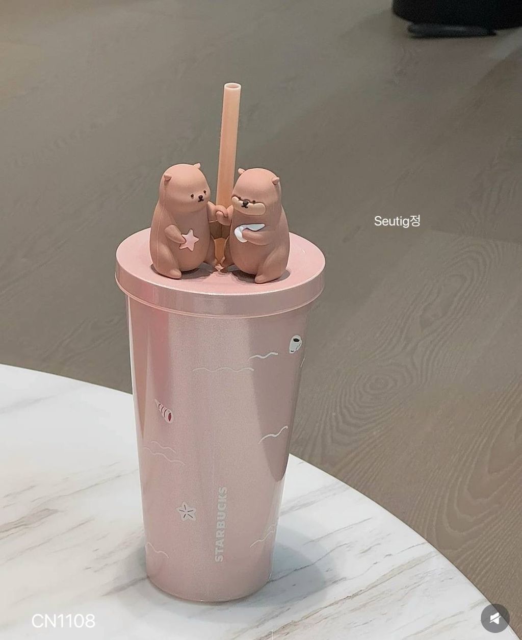 IMG_9508-1739532741979