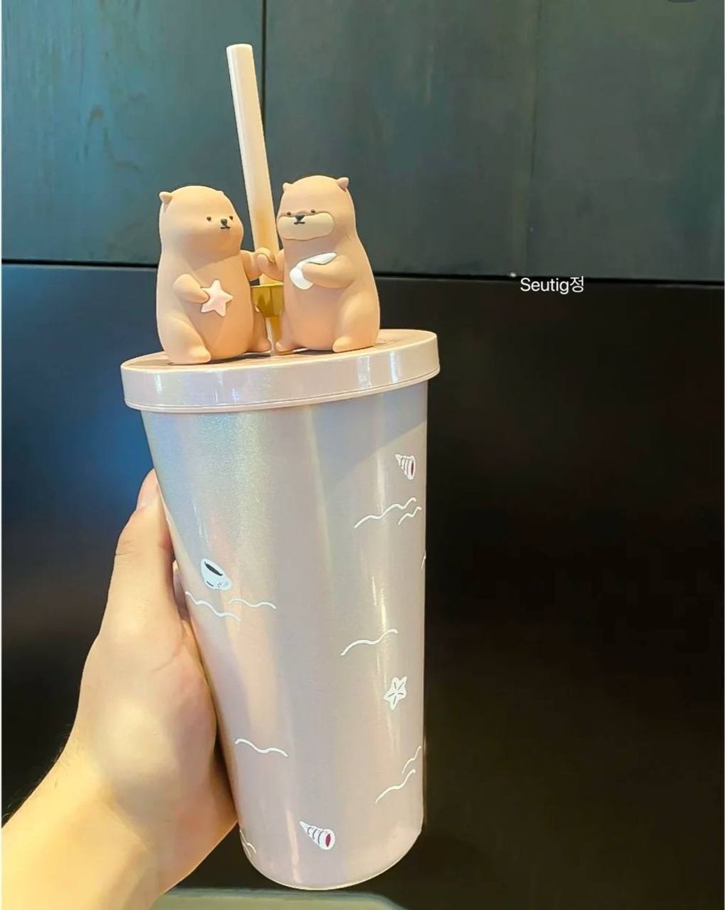 IMG_9513-1739532741999