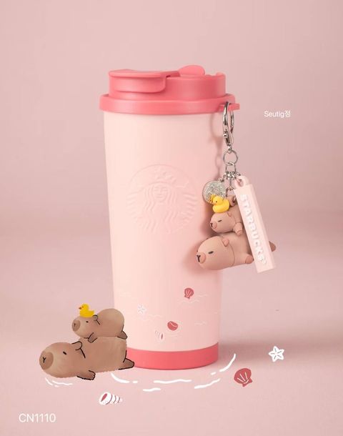 IMG_9519-1739533066874