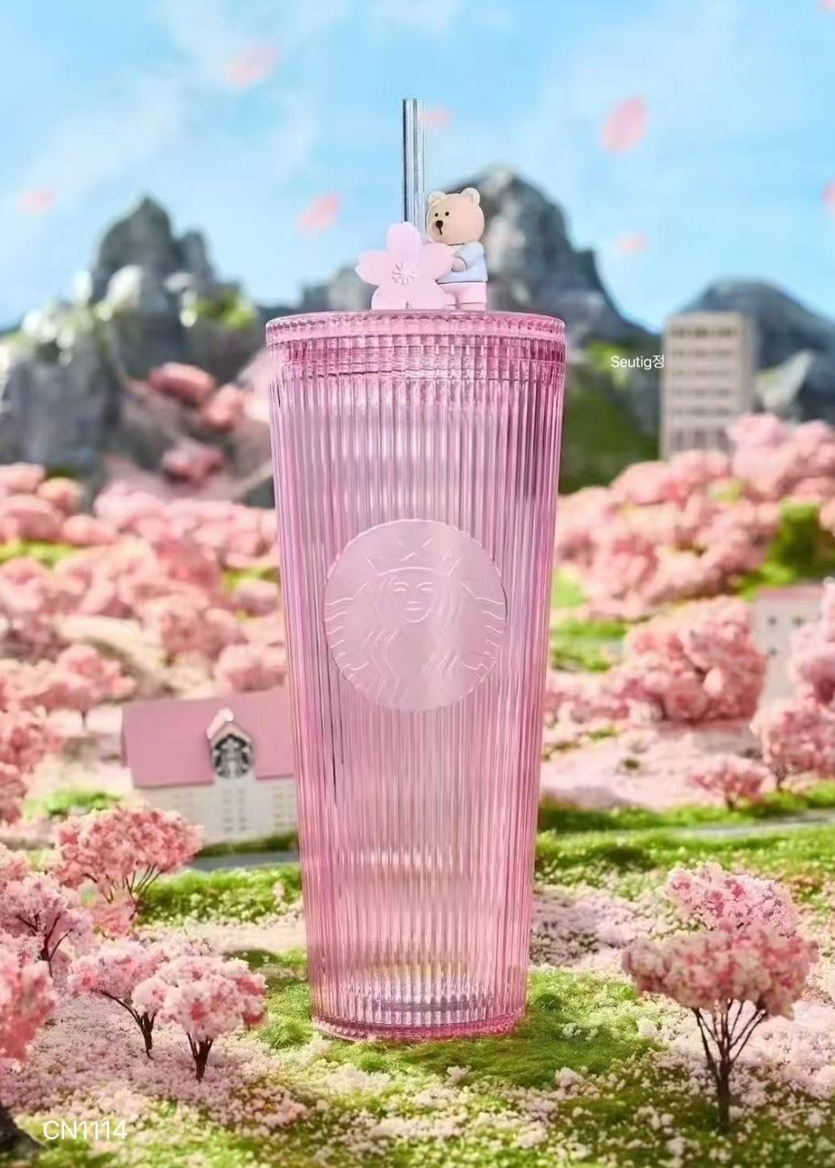 IMG_9555-1739710947488