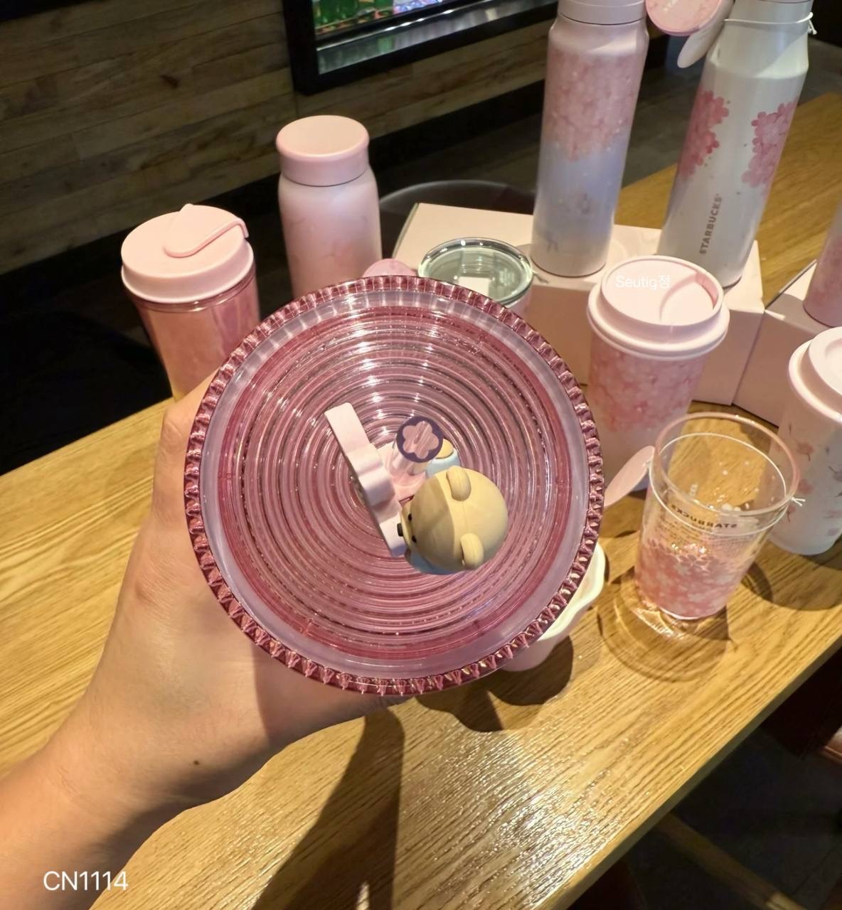 IMG_9559-1739710947504