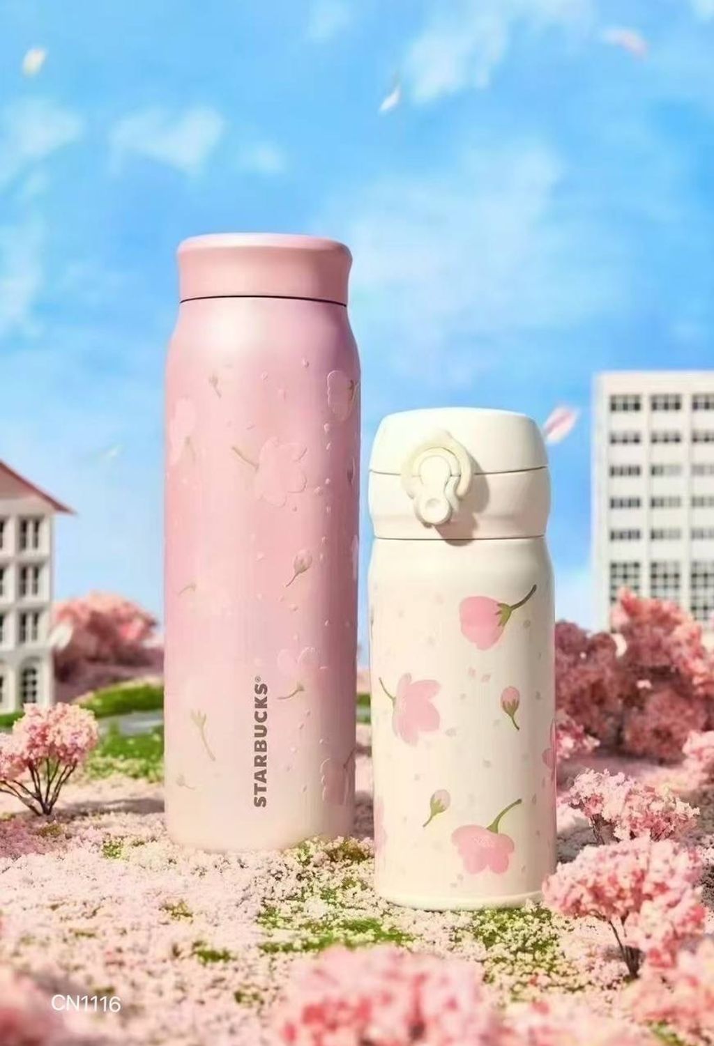 IMG_9576-1739711051276