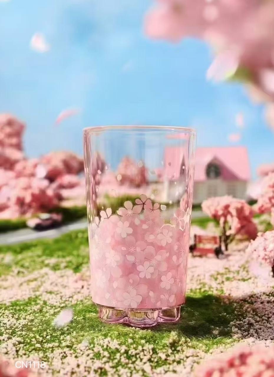 IMG_9581-1739711179756