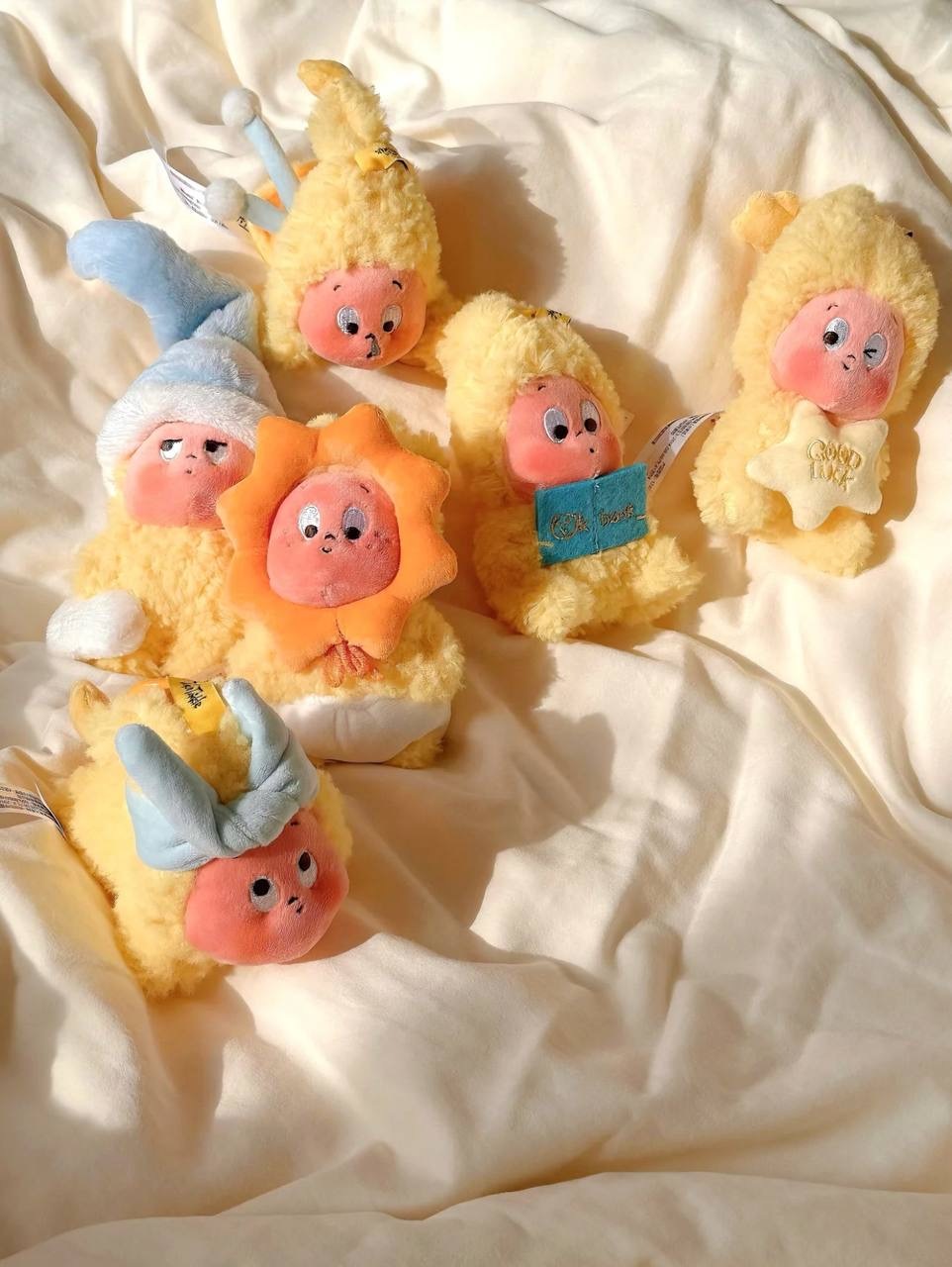 IMG_9653-1740062324258