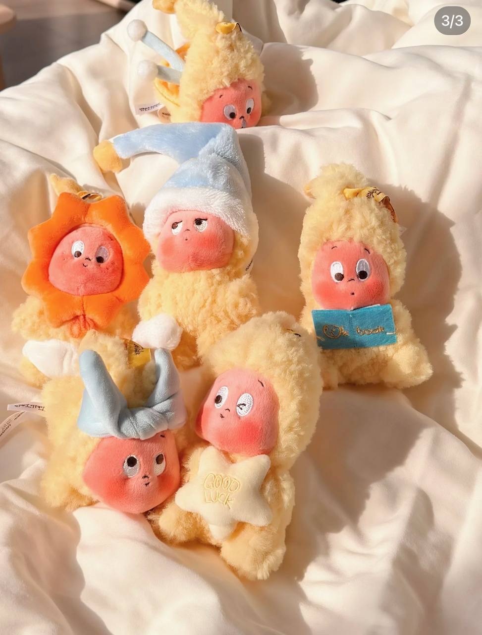 IMG_9654-1740062324252