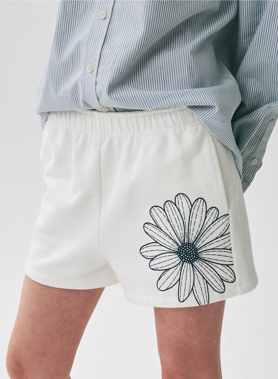 IMG_9984-1740136596255