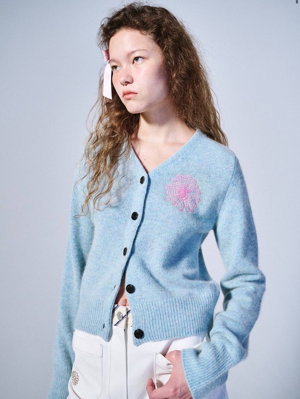 IMG_0036-1740137039448