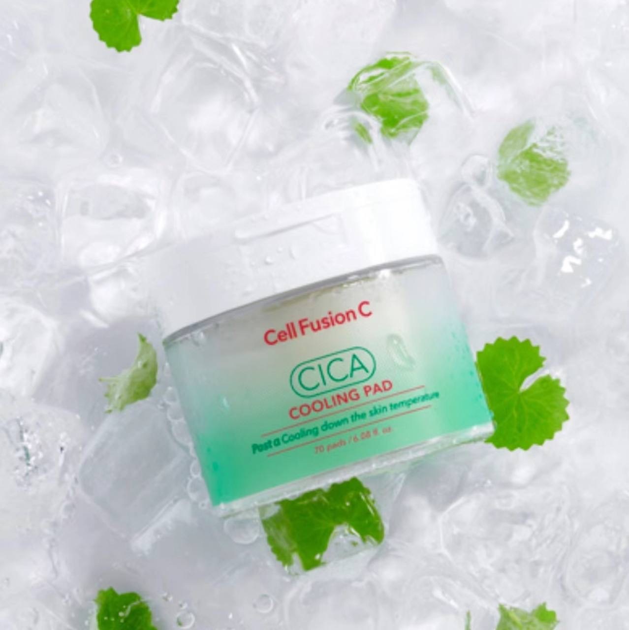 IMG_2010-1740496971219