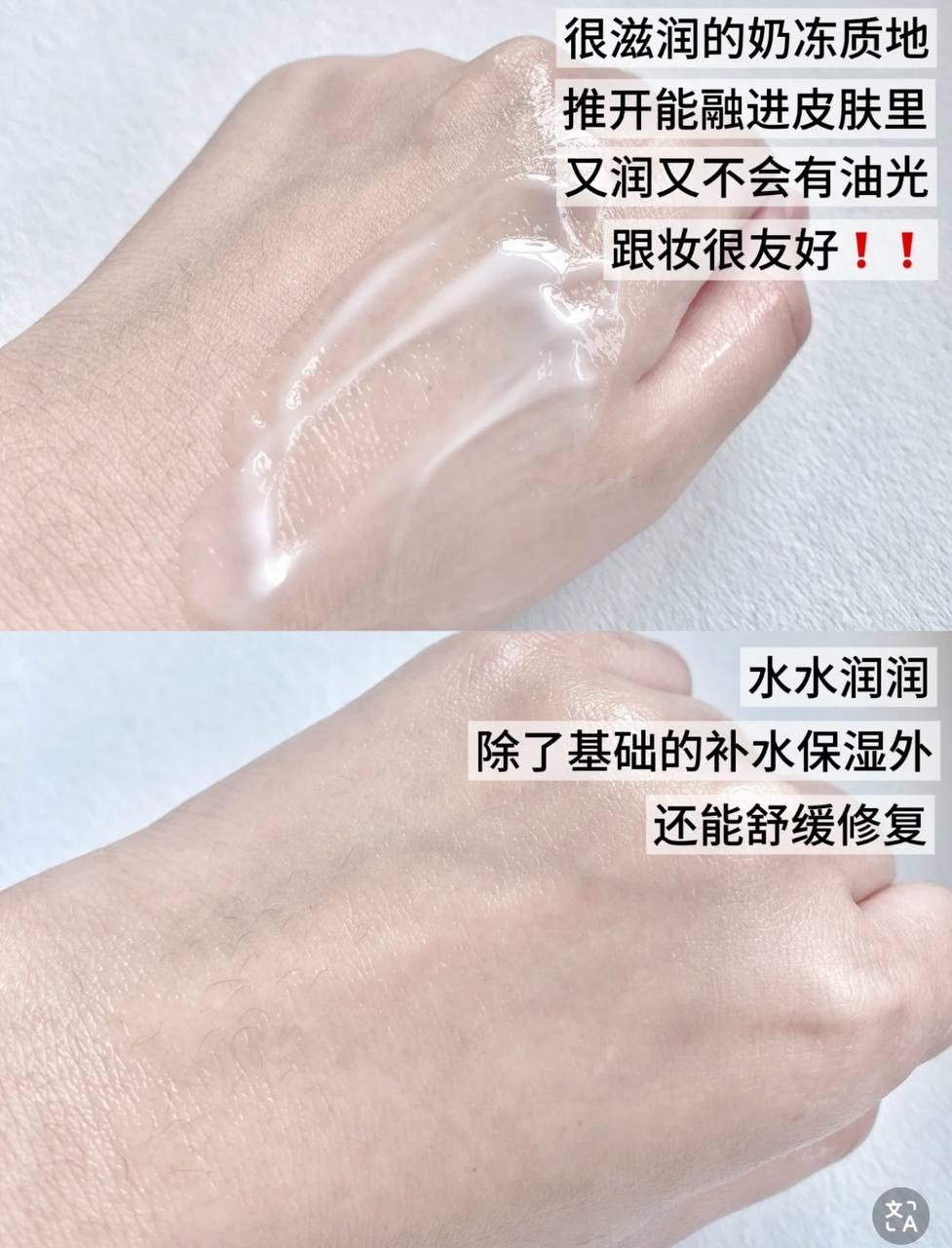 IMG_2028-1740497093826