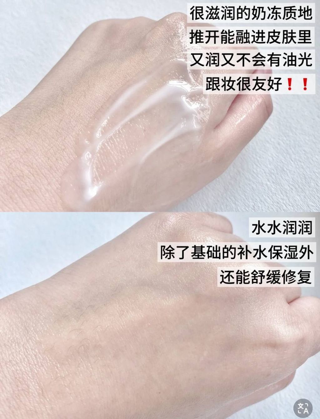 IMG_2028-1740497093826