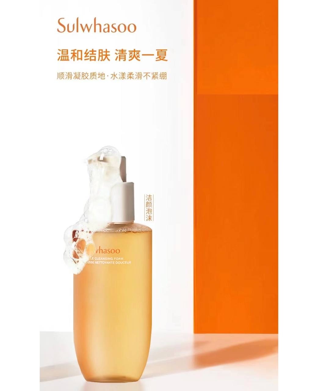 IMG_2146-1740498016577