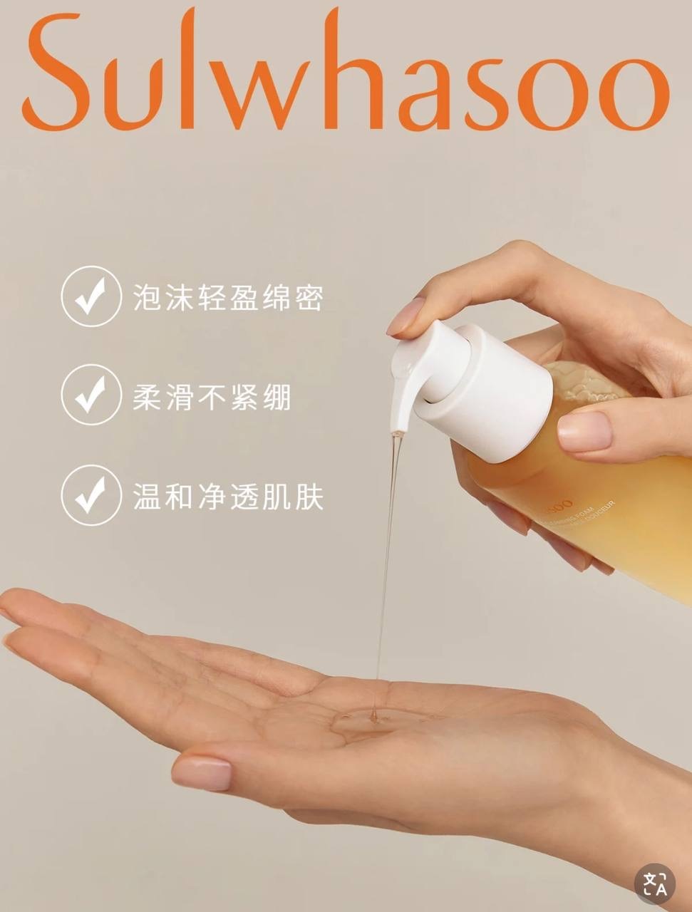 IMG_2153-1740498016600