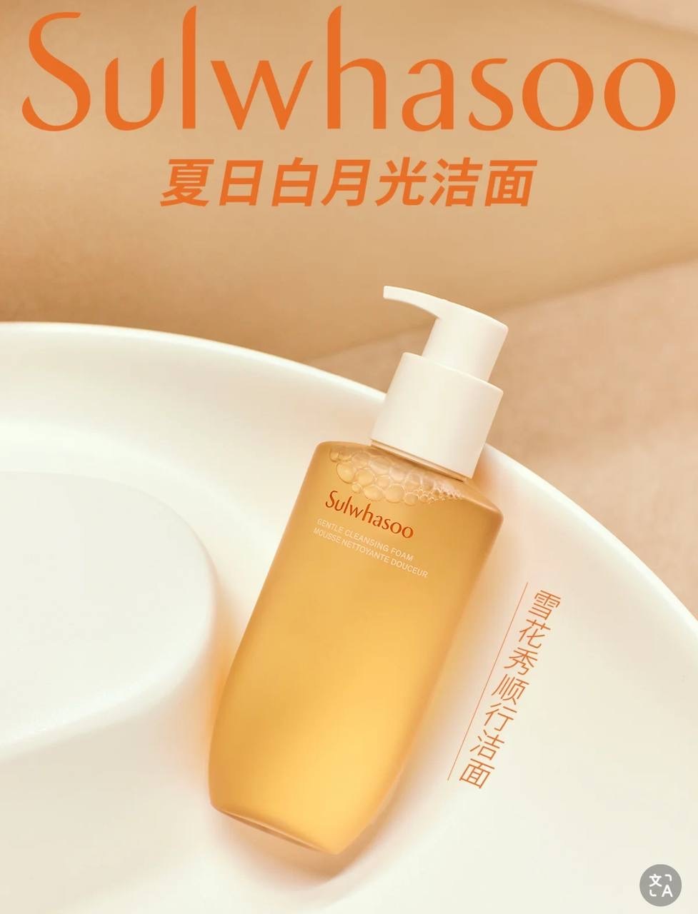 IMG_2154-1740498016616