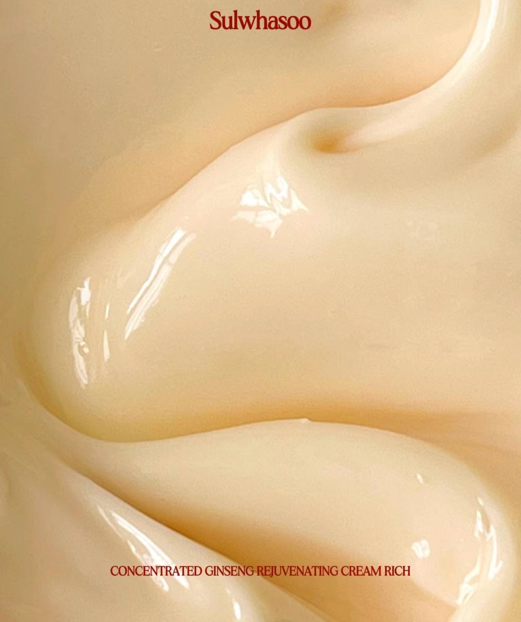 IMG_2176-1740498112568