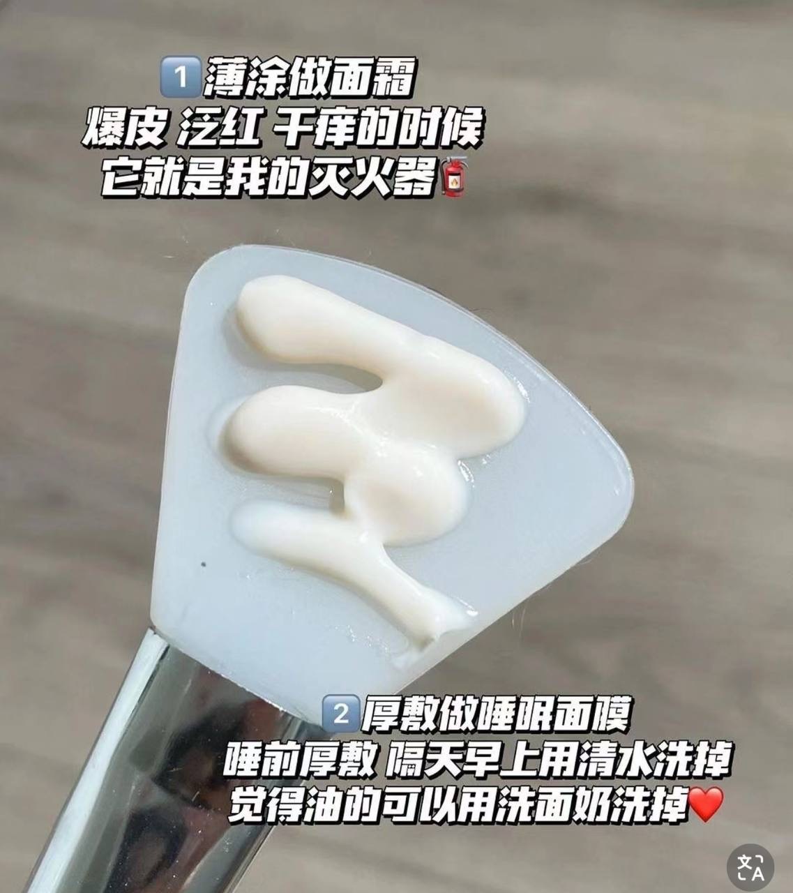 IMG_2195-1740498151258