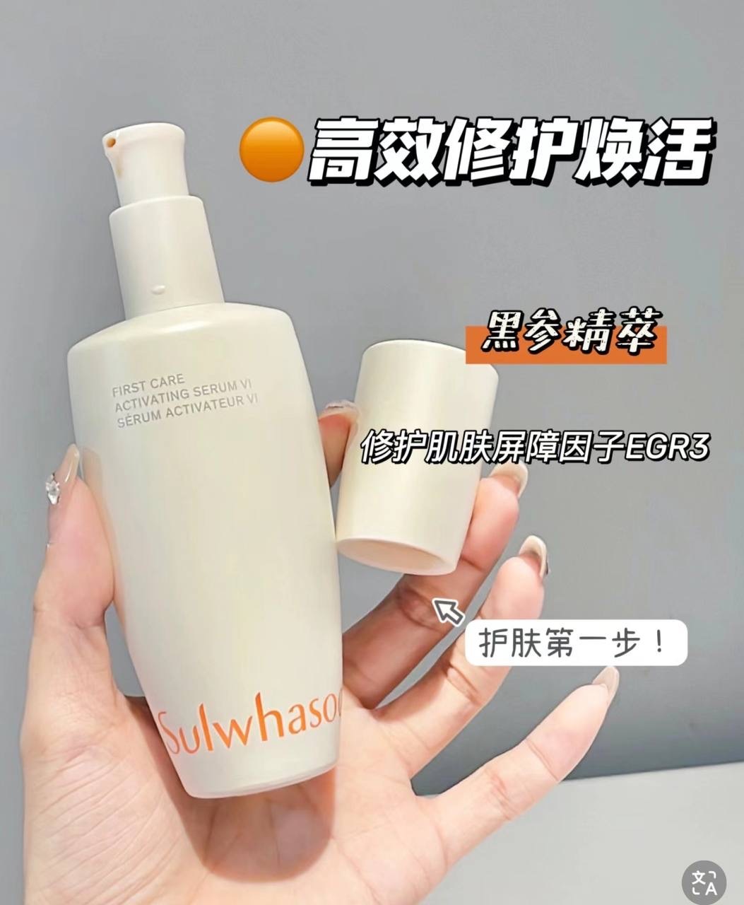 IMG_2203-1740498197057