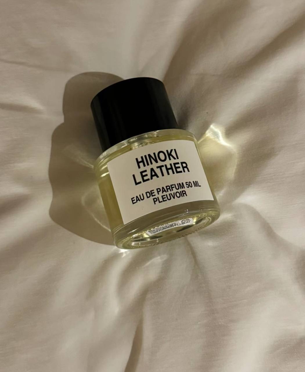 IMG_2297-1740537433300