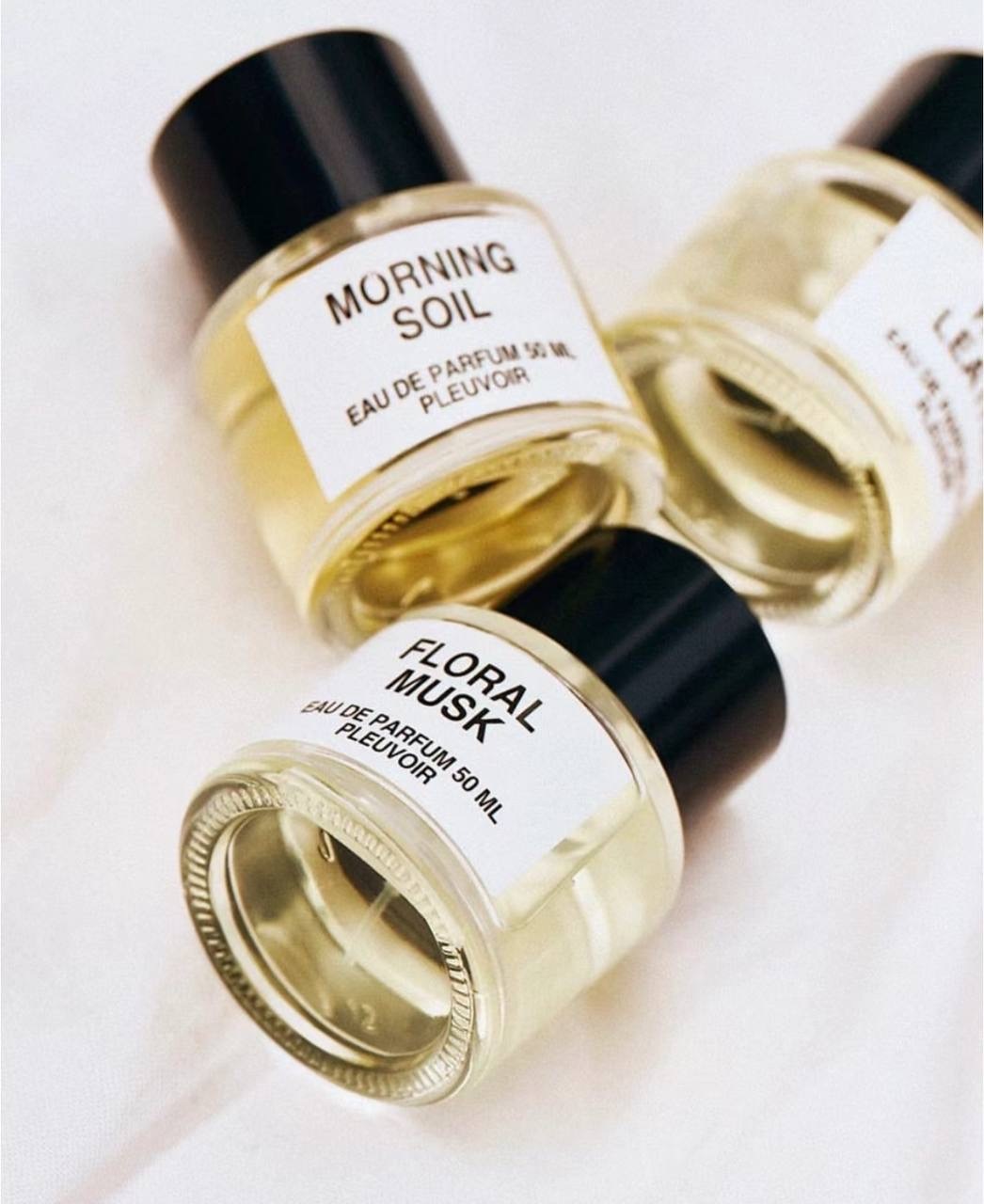 IMG_2295-1740537433281