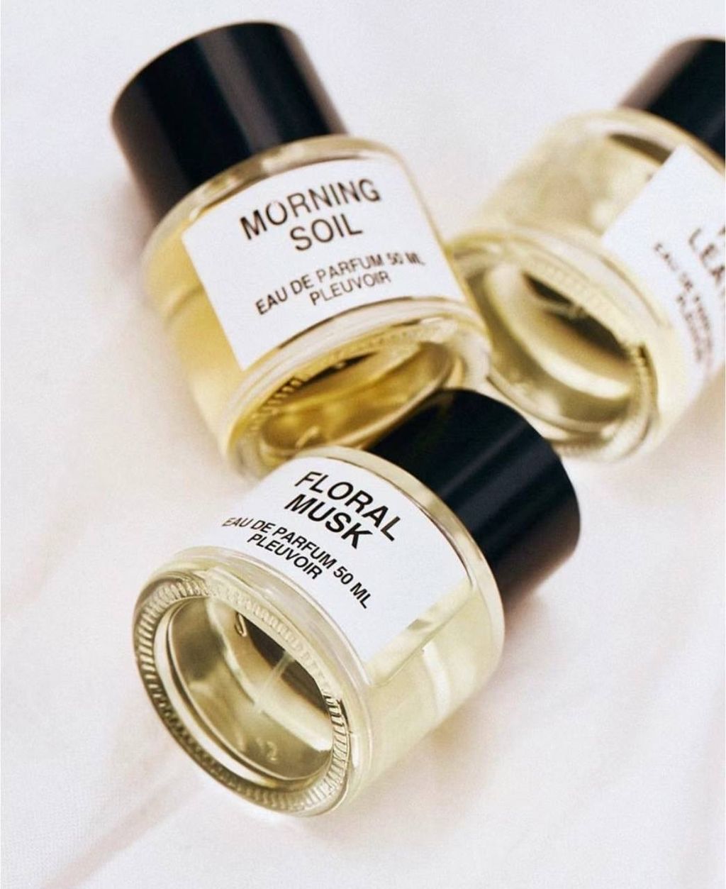 IMG_2295-1740537433281