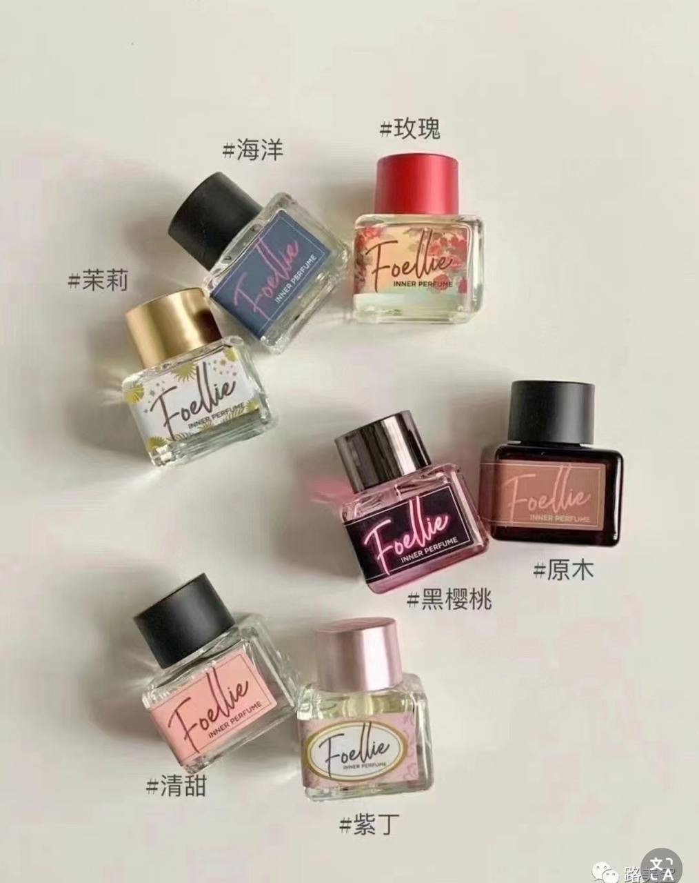 IMG_2375-1740563213776