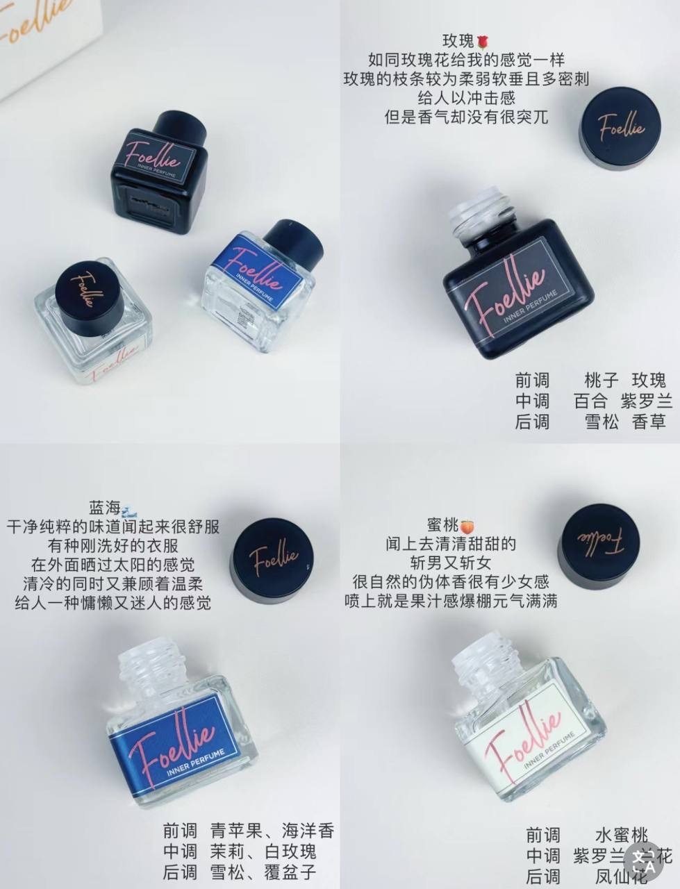 IMG_2377-1740563213773