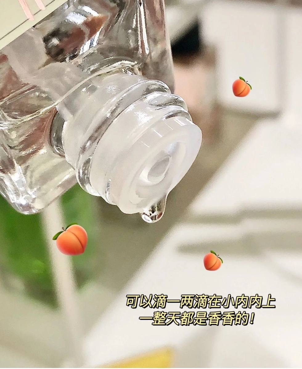 IMG_2381-1740563213781