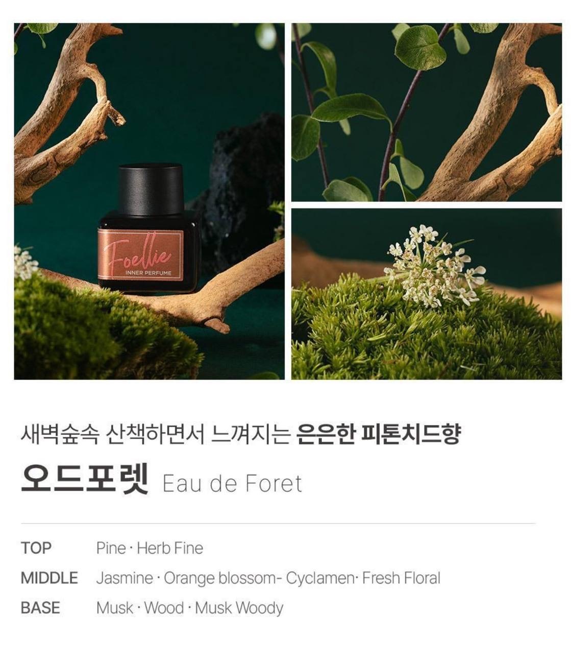 IMG_2393-1740563213846