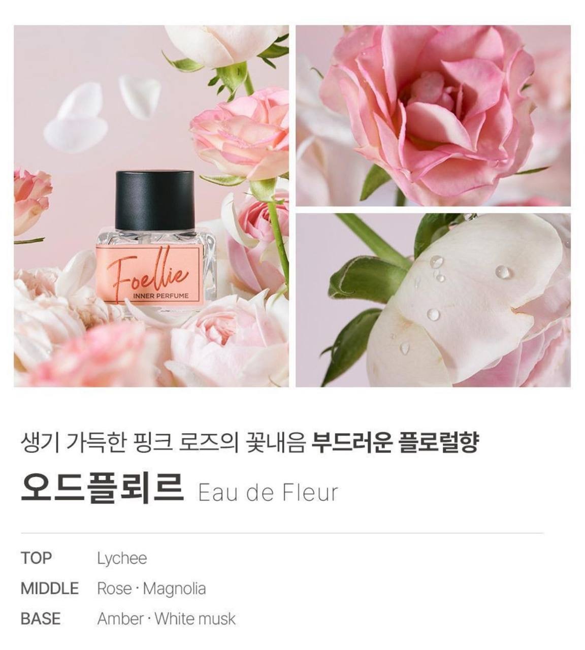 IMG_2396-1740563213860