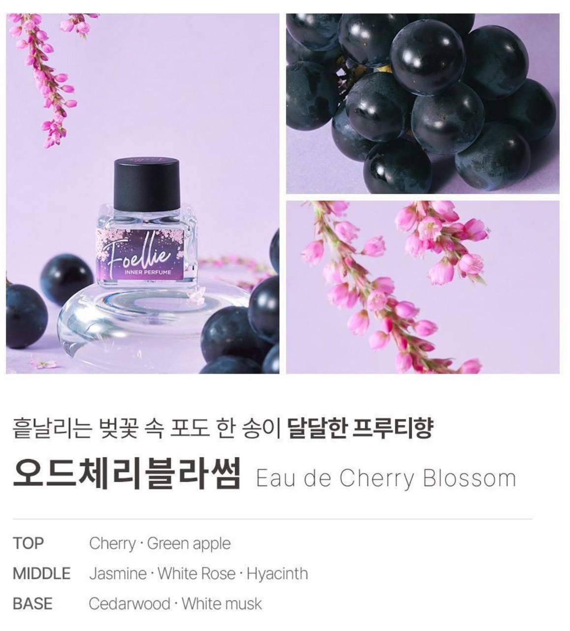 IMG_2398-1740563213875