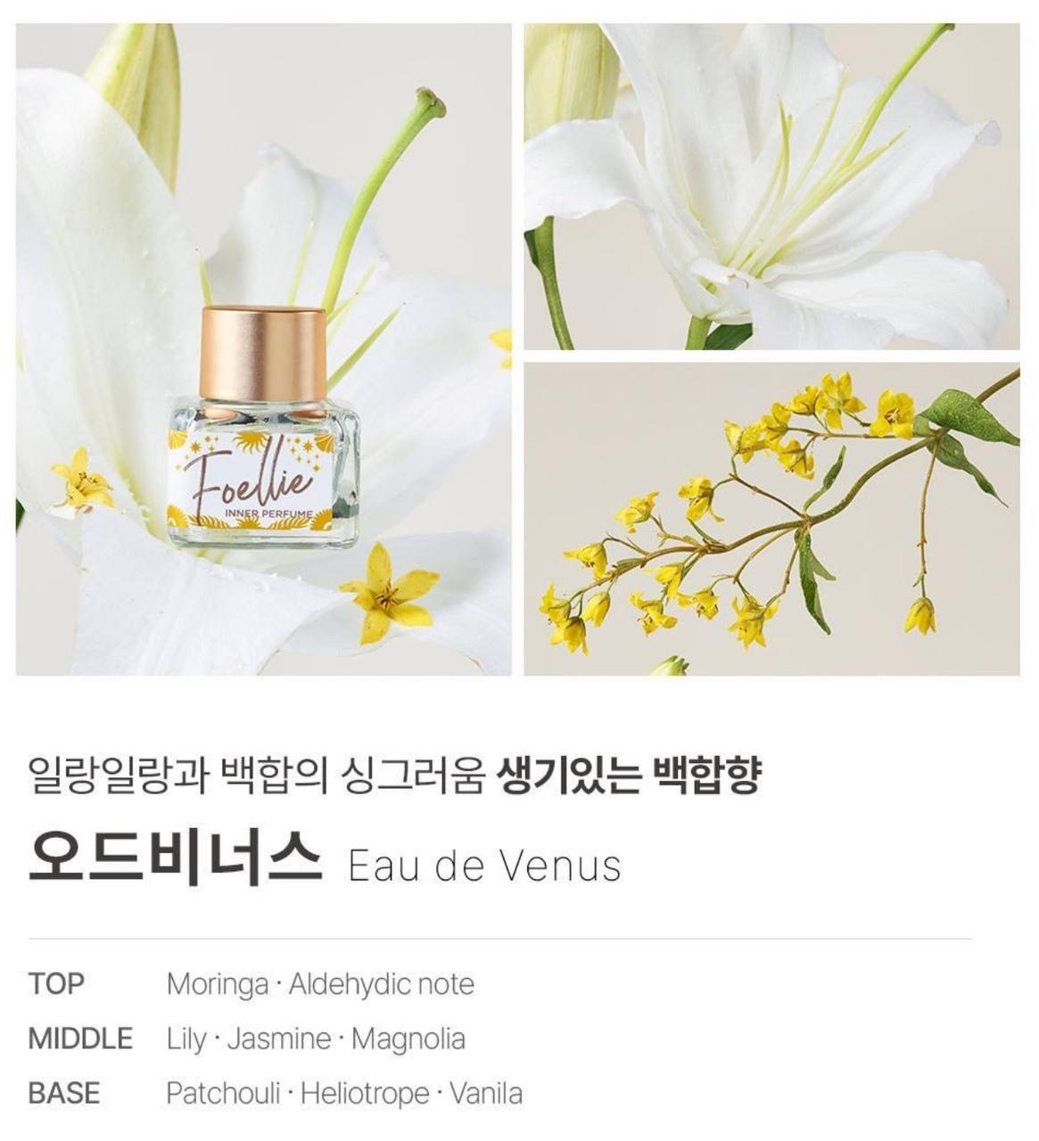 IMG_2401-1740563213889