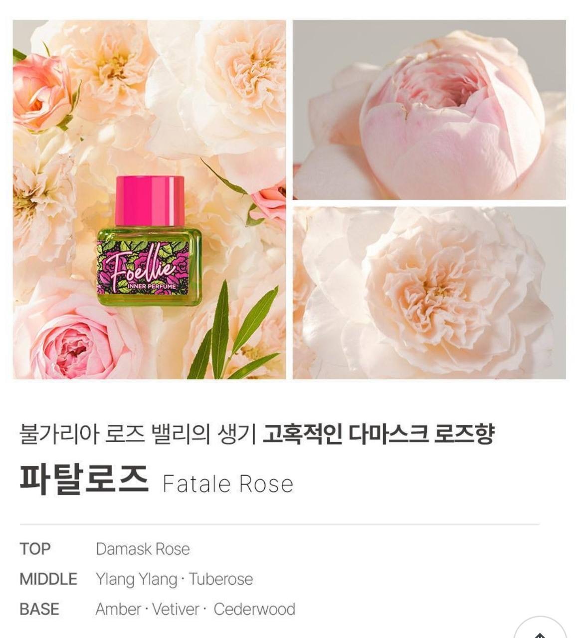 IMG_2403-1740563213903