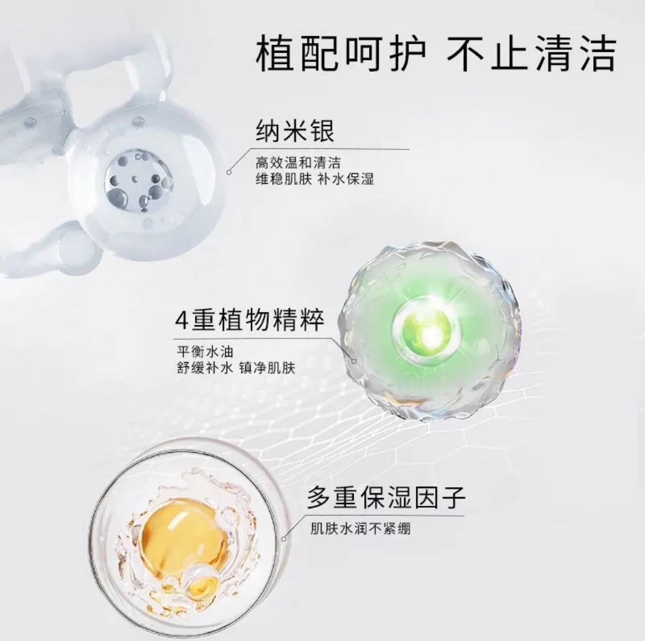 IMG_2412-1740563575007