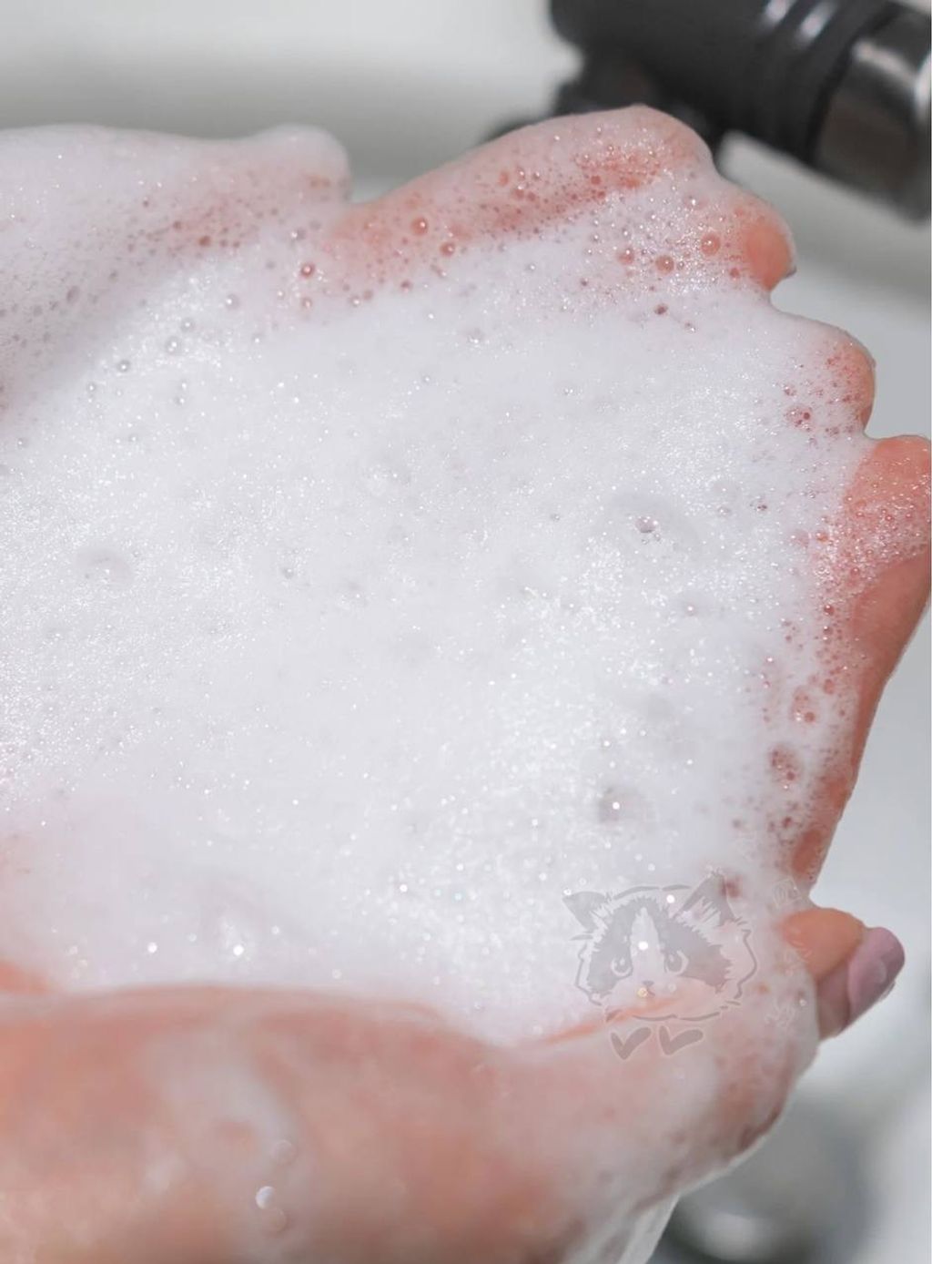 IMG_2415-1740563575023