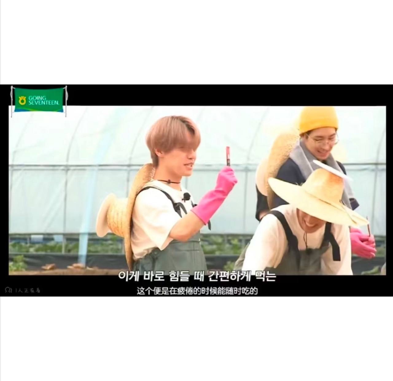 IMG_7491-1740578139702