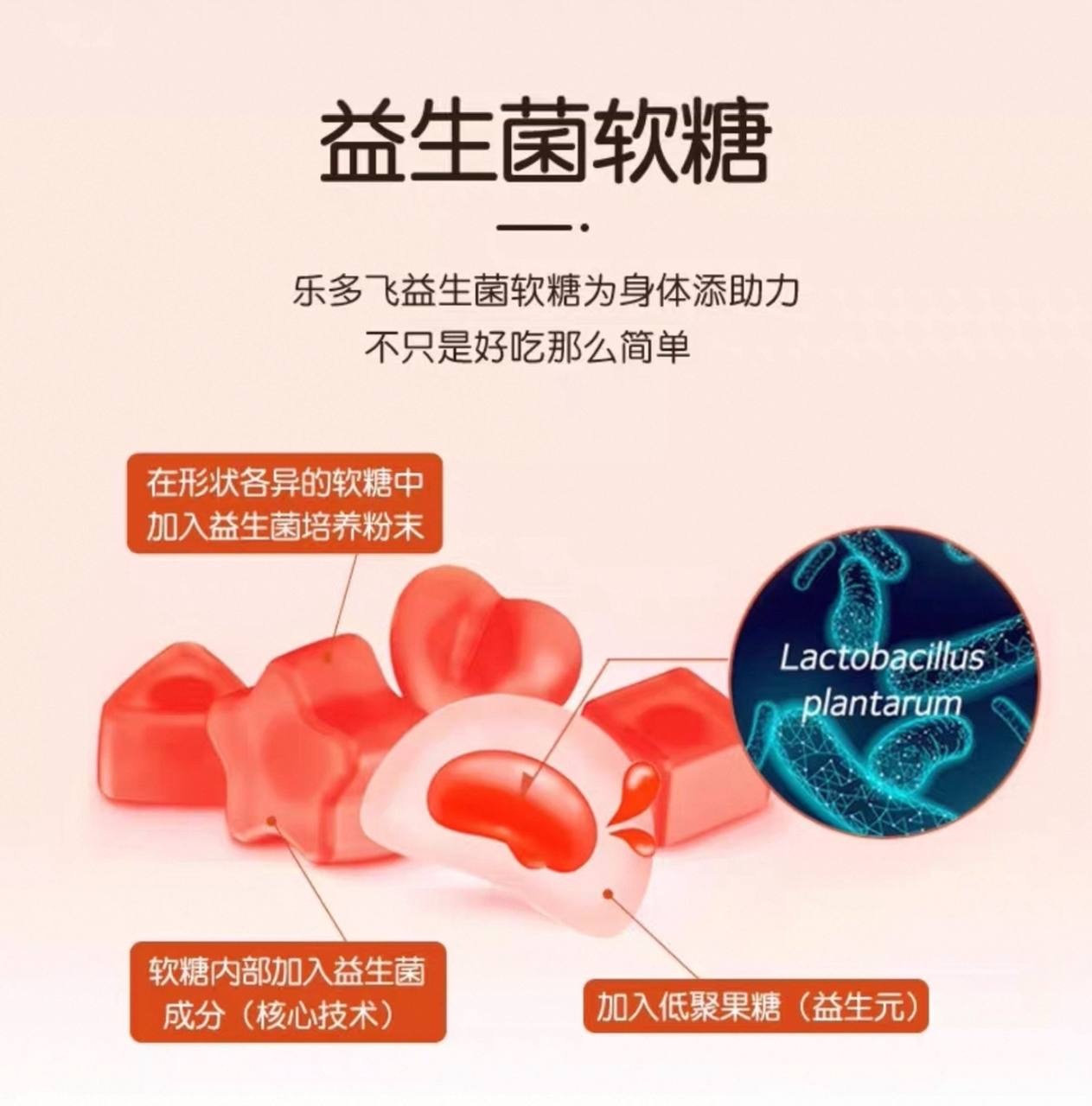 IMG_2425-1740581162685