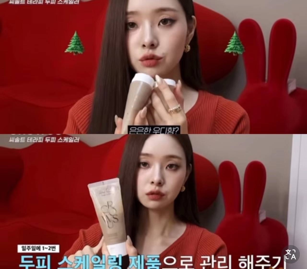 IMG_2437-1740581258682