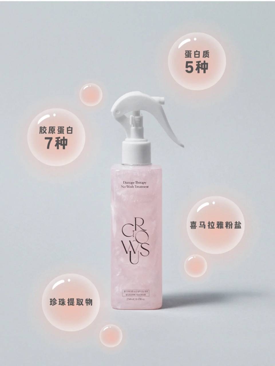 IMG_2445-1740581371558