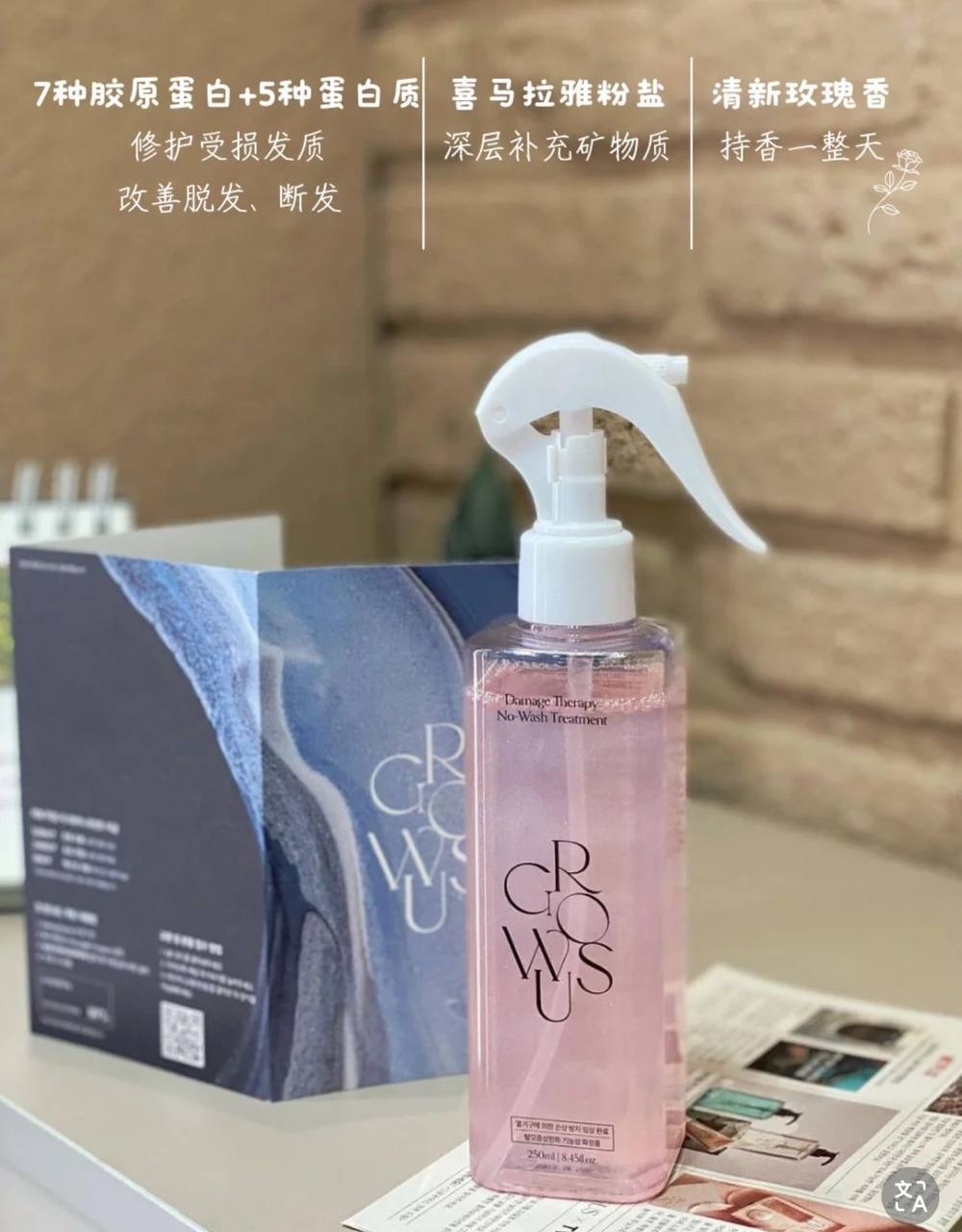 IMG_2444-1740581371562