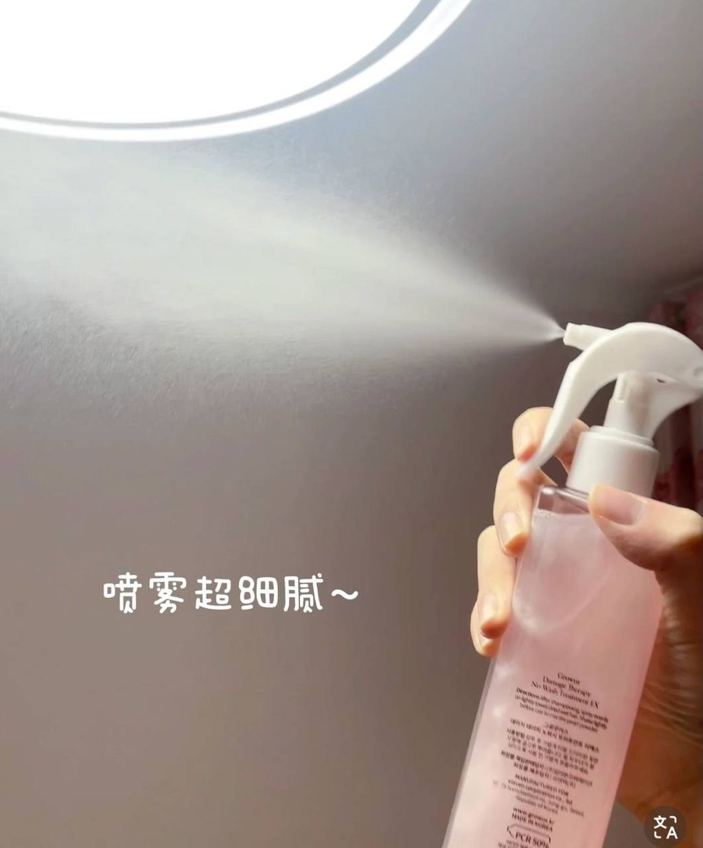 IMG_2443-1740581371568