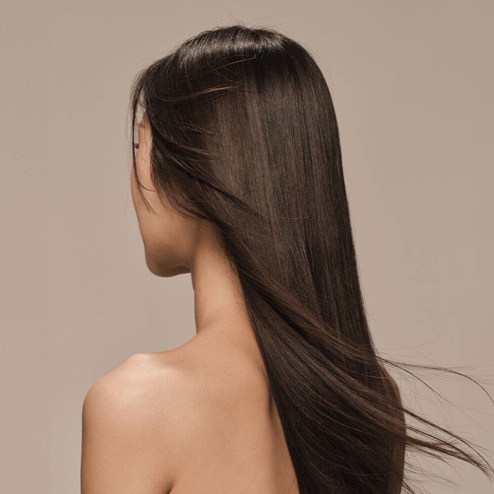 IMG_2450-1740581371589