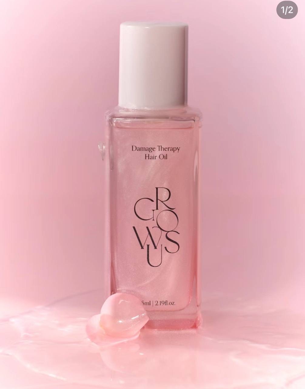 IMG_2455-1740581439653