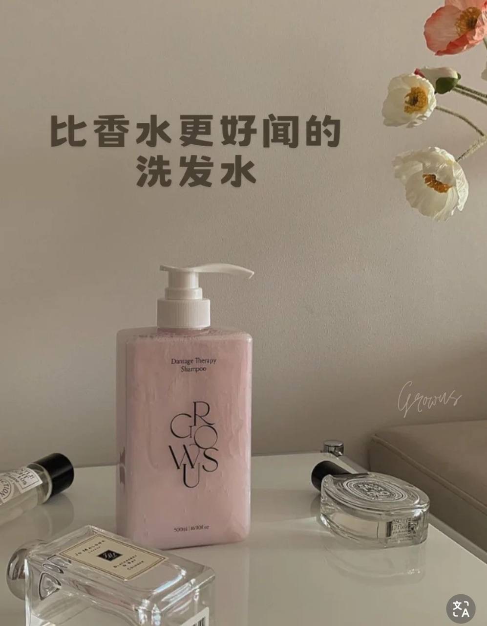 IMG_2465-1740581505177