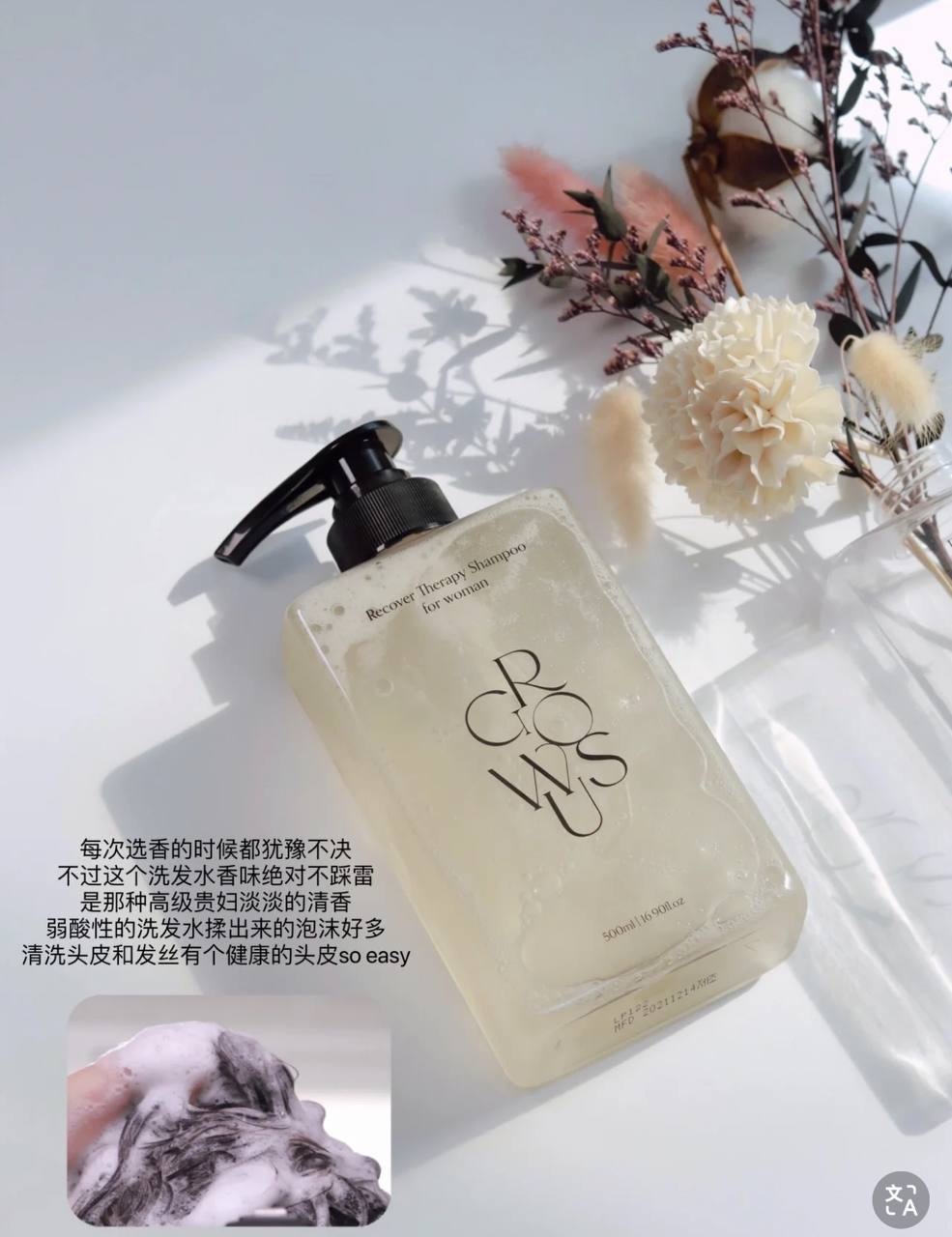 IMG_2485-1740584251550