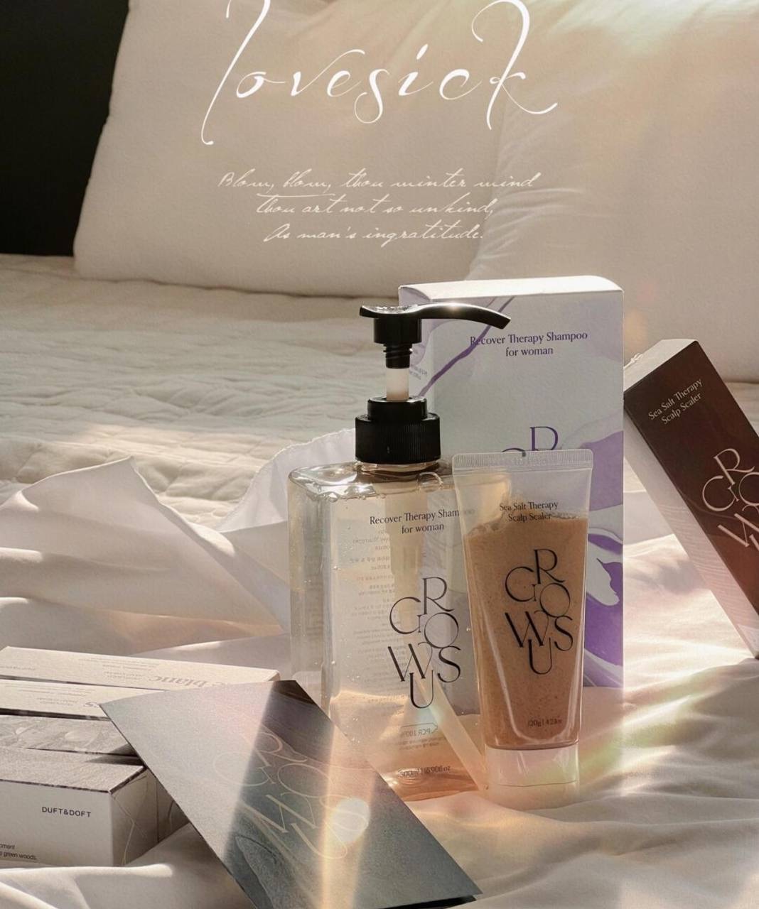 IMG_2488-1740584251556