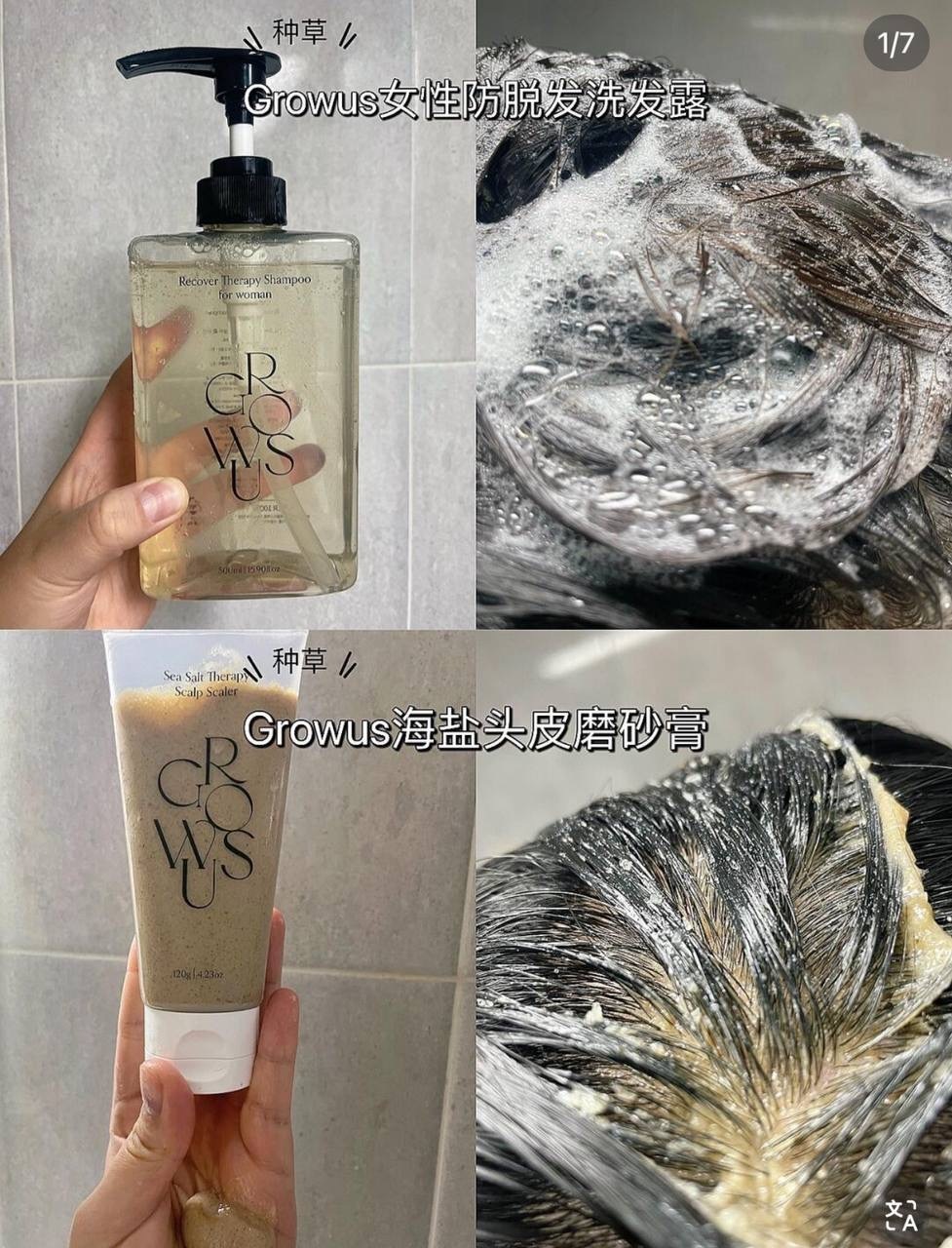 IMG_2490-1740584251573